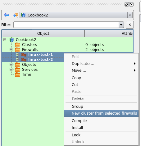 Creating the First Member Firewall Object