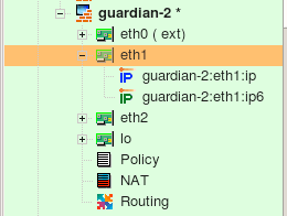 Figure 5.22. Interface Object with Both Address Families