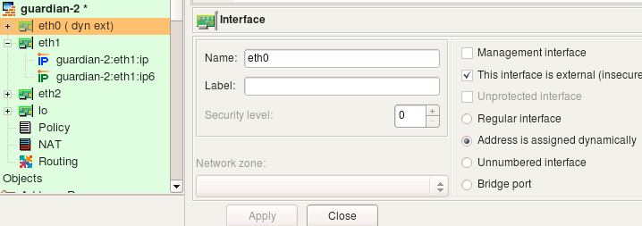 Figure 5.25. Interface with Dynamic Address